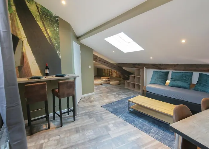 La Forêt, T2 hypercentre chic et cosy, Wifi par SOVALFI