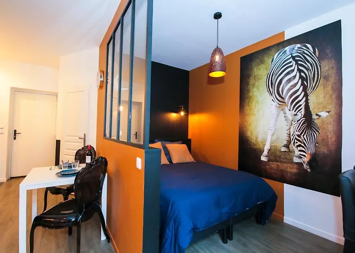 Le Zèbre, T1 hypercentre chic et cosy, Wifi par SOVALFI