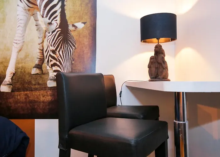 Le Zèbre, T1 hypercentre chic et cosy, Wifi par SOVALFI