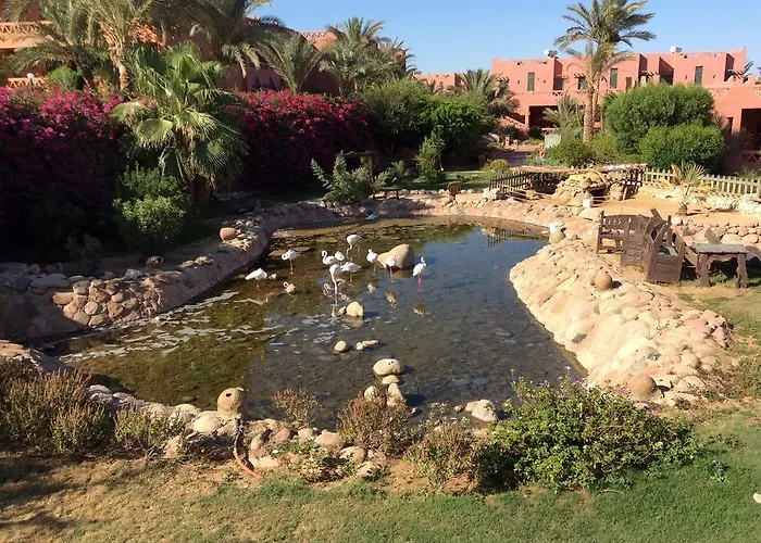 Luxury hotel only: Hauza Beach Resort & Aqua