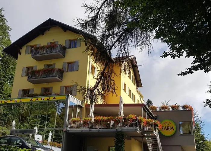 Hotel Zarja