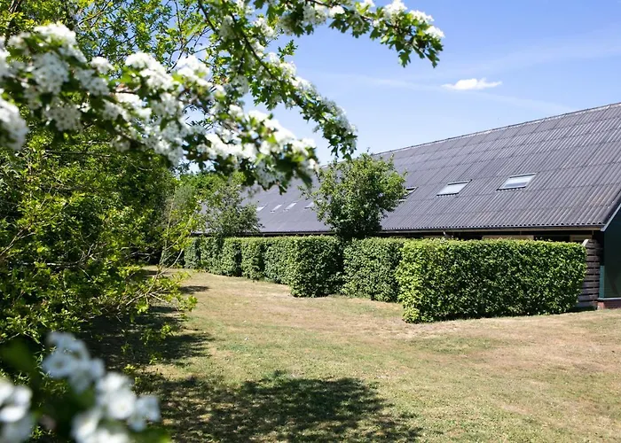 Horsetellerie Rheezerveen