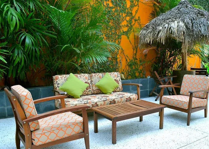 Dog friendly hotels Rio Malecon