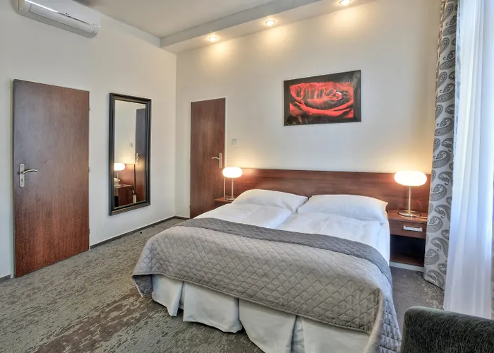 Pets Allowed Hotel Royal Plaza
