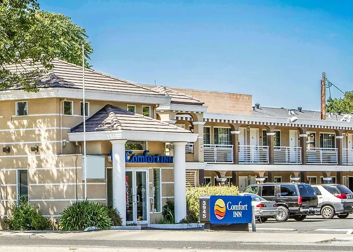 Motel: Comfort Inn Palo Alto