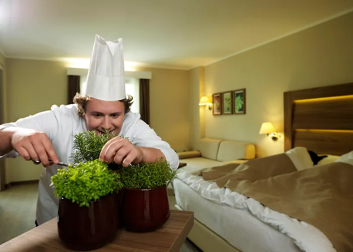 Wellness Hotel Apollo – Terme&Wellness LifeClass