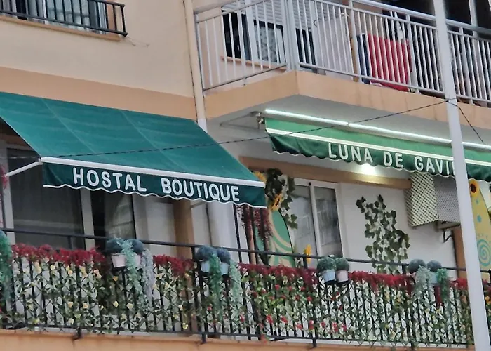 Hostal Boutique Luna de Gavín