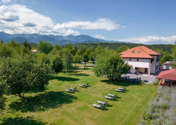 Pensiunea Negoiu