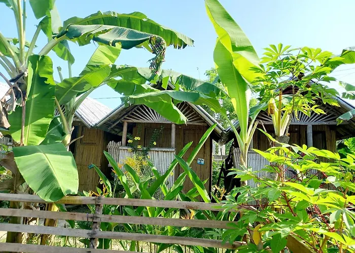 Banana Grove El Nido
