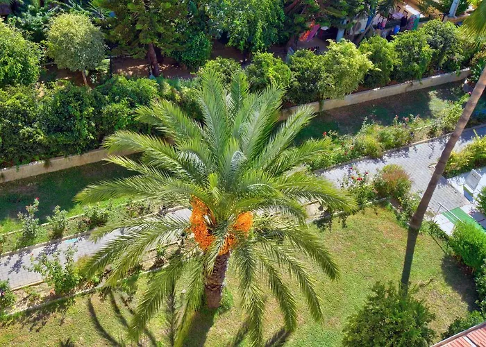 Hotel: Blue Fish Hotel All Inclusive