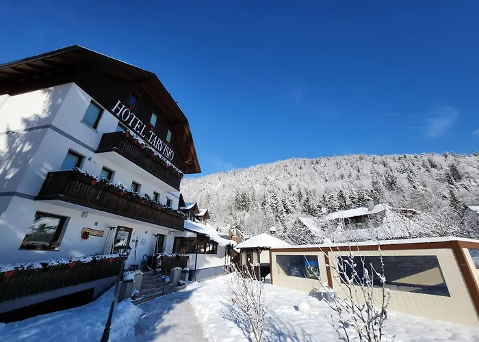 Hotel Tarvisio Four Seasons