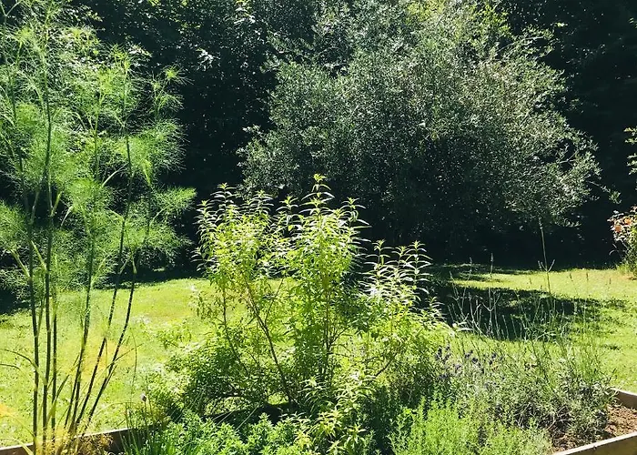Chambre calme sur terrasse - proche Canal Nantes à Brest
