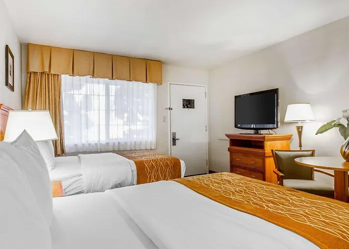 Motel: The Inn At 1252 Monterey