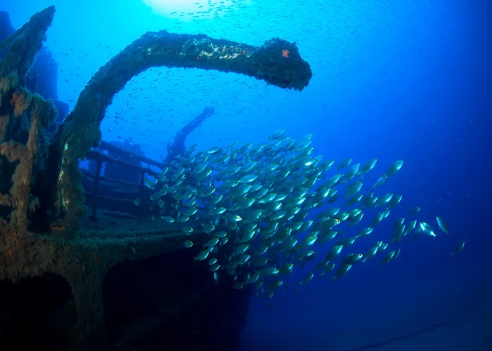 Vila Baleira Porto Santo