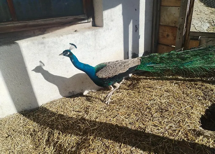 Greiterhof - Partschins