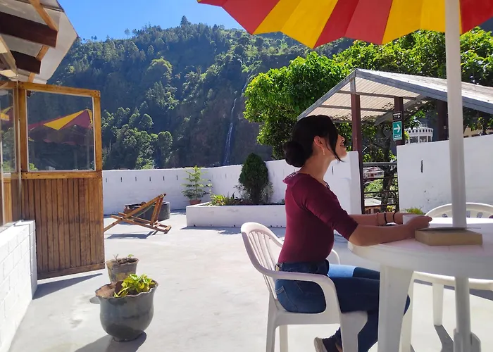 Hostel Plantas Y Blanco