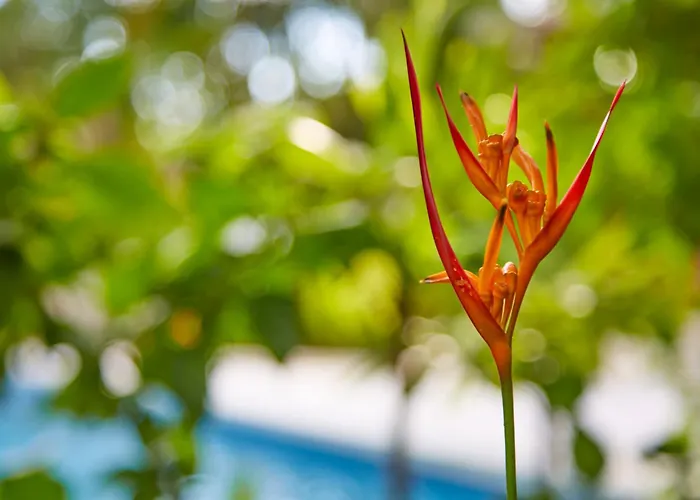 Hotel with view: Living Hotel