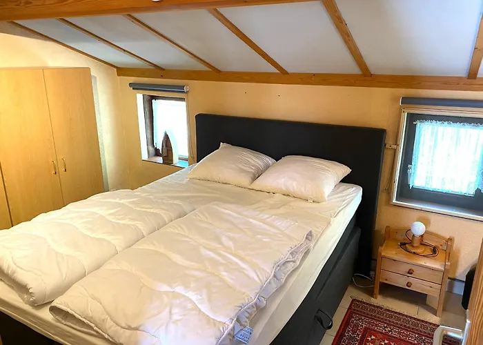 Hotel mit Pool: Zeepark Zeewind