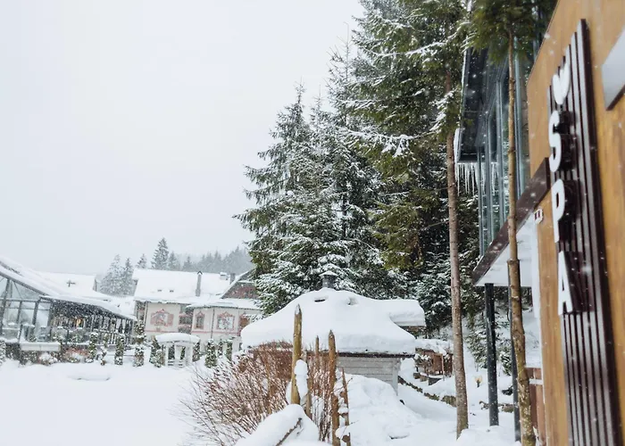 Hotel Vedmezhyi Dvir