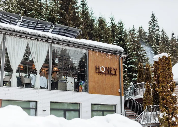 Hotel Vedmezhyi Dvir