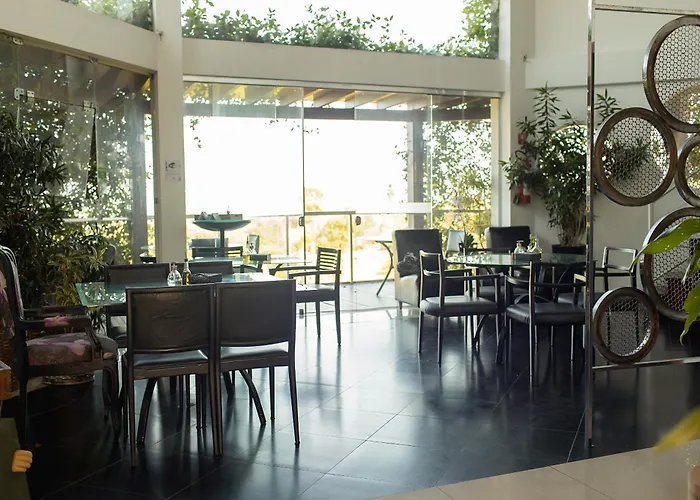 Orquidea Cafe