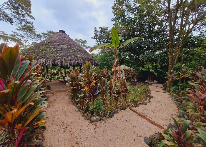 La Penal Amazon Lodge!