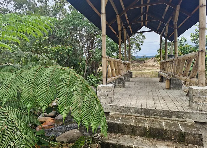 La Penal Amazon Lodge!
