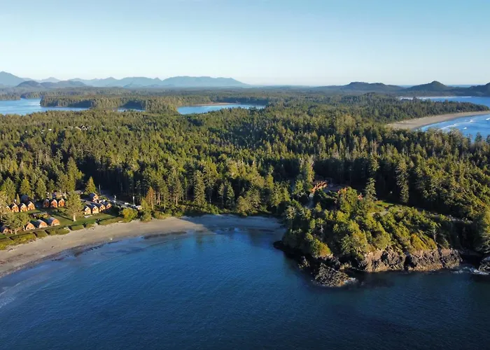 Pet Friendly hotel: Ocean Village Resort