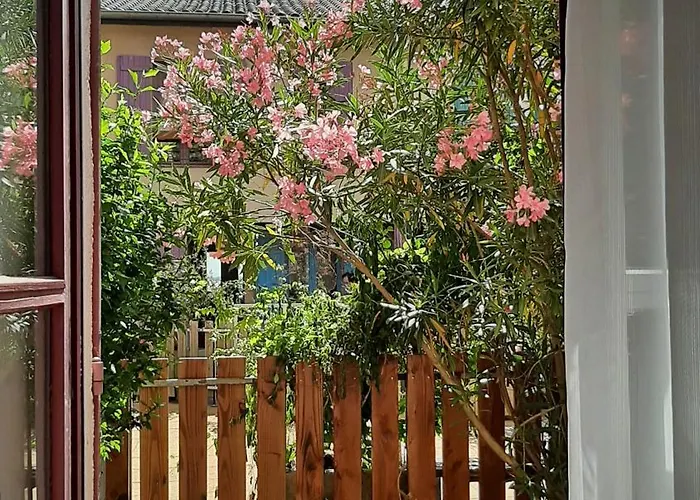 Hôtel accueillant les animaux: Appartements Caractere Clos St Jean