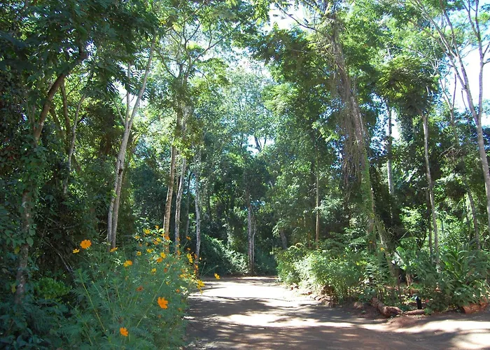 Sol Cataratas