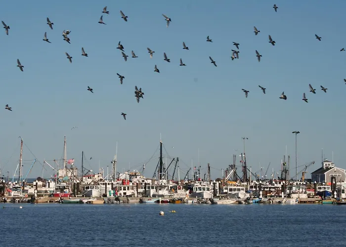 Anchor Inn Beach House