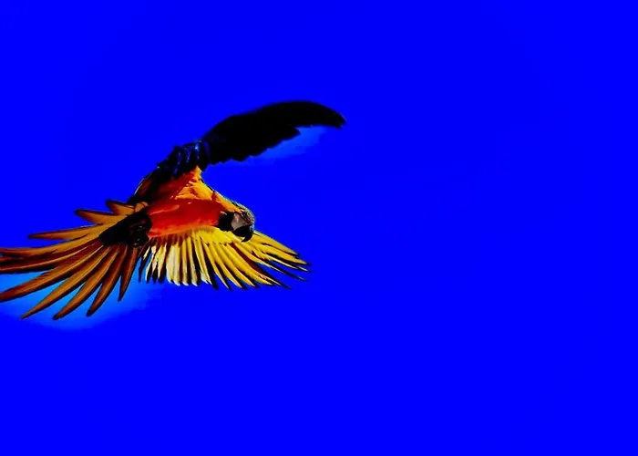 Mangabeiras - Casa de Hóspedes