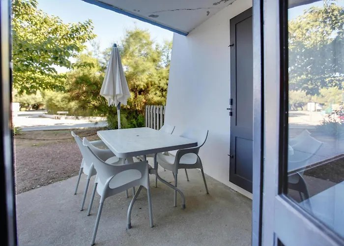 Hôtel accueillant les animaux: Belambra Clubs Saint-Jean-de-Monts - Les Grands Espaces