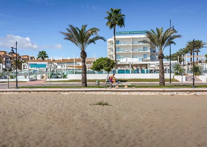 Hotel que admite mascotas: Occidental Torremolinos Playa