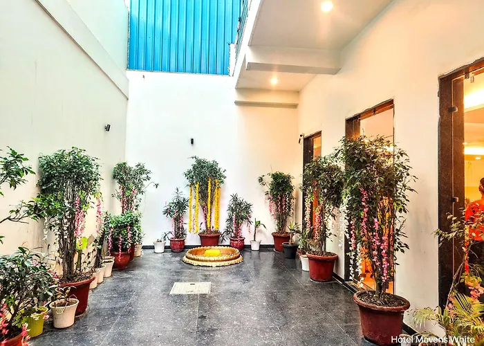 Family Hotel: Hotel Mavens White Artemis Hospital Road Sector 52 Gurgaon