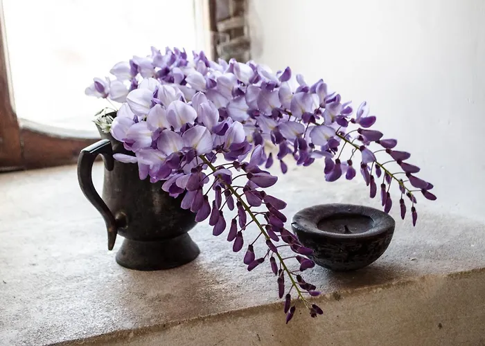 Albergo centrale: Torre La Mezzaluna