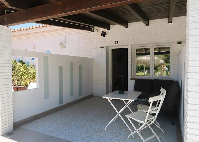 Animaux admis Malaga Picasso