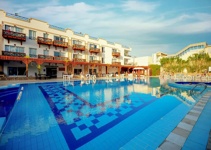 Falcon Naama Star