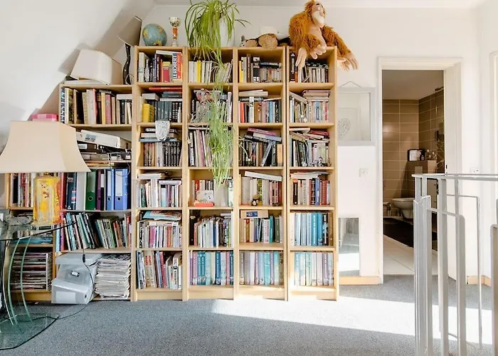 Hôtel accueillant les animaux: Suite Place de l'Etoile