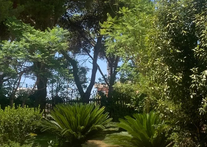 B&B Madreperla