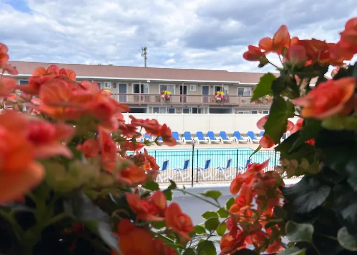 Motel: Park Lane Motel