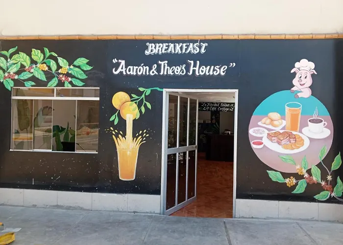 Hostel Willys House