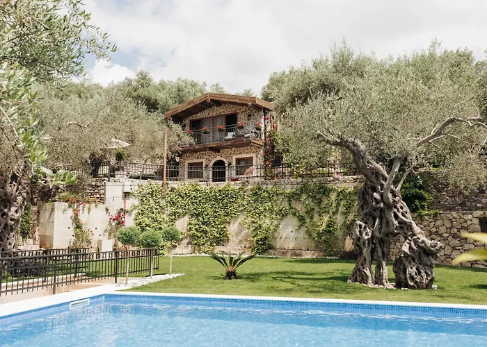 Olive Queen Rustic Estate