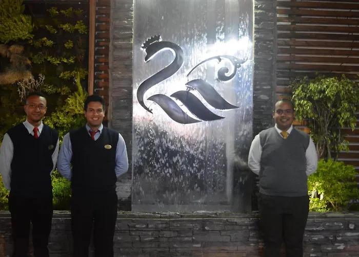 Hotel El Cisne Internacional