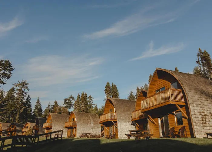 Pet Friendly hotel: Ocean Village Resort