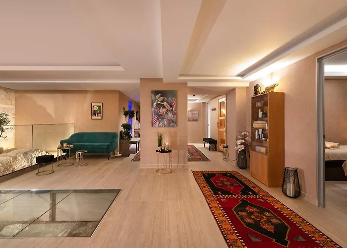  Acandia