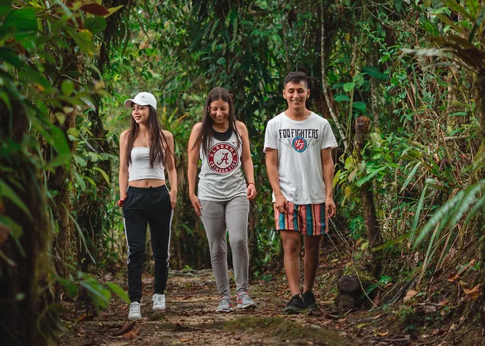 Eco Arazza