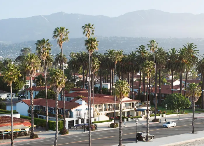 Hôtel accueillant les animaux: The Milo