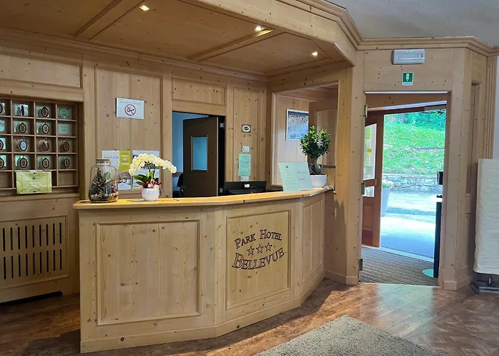 Hotel di lusso: Park Hotel Bellevue