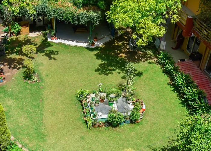 Upper Tapovan Resort